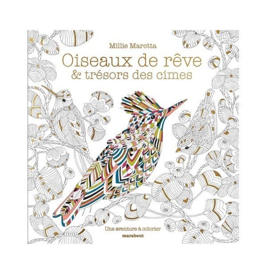 Dessin & Arts Graphiques Creastore Livres Dessin | Oiseaux De Reve Et Tresors Des Cimes - Livre