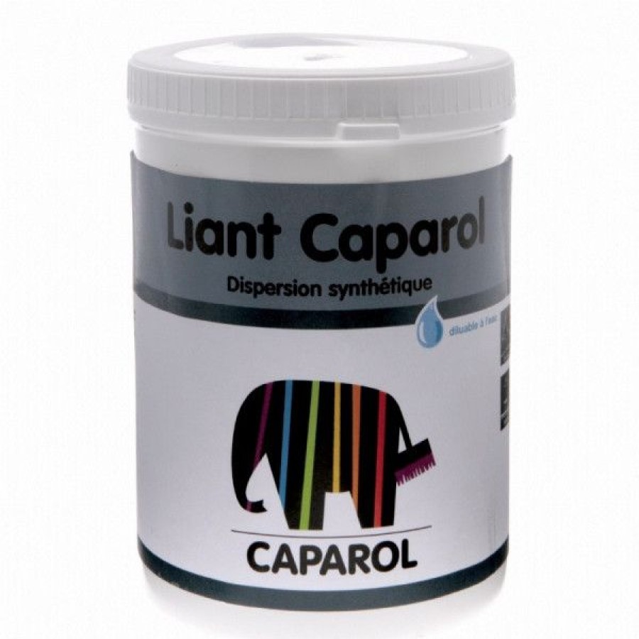 Peintures Creastore Gesso & Liants | Liant Caparol