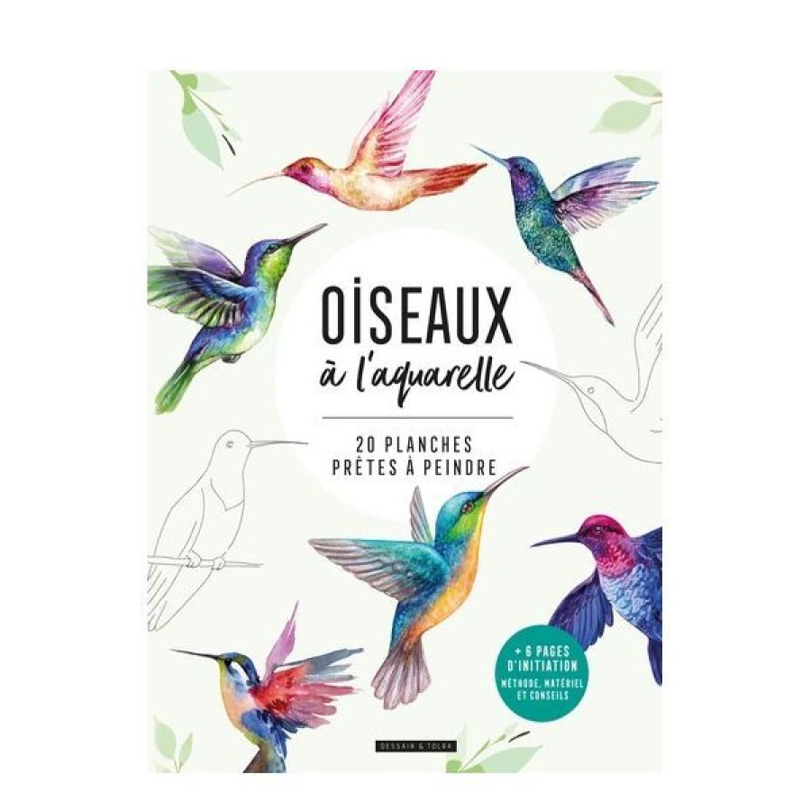 Peintures Creastore Livres Aquarelle | Livre Oiseaux A L'Aquarelle - 20 Planches Pretes A Peindre