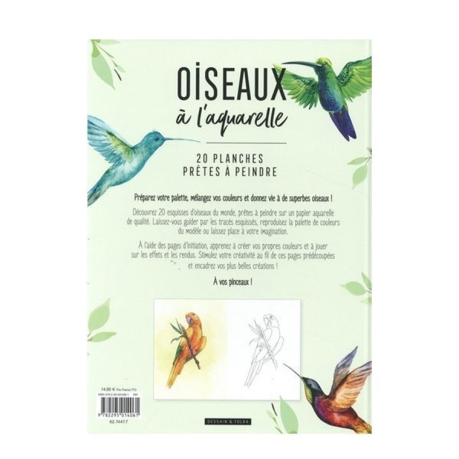 Peintures Creastore Livres Aquarelle | Livre Oiseaux A L'Aquarelle - 20 Planches Pretes A Peindre