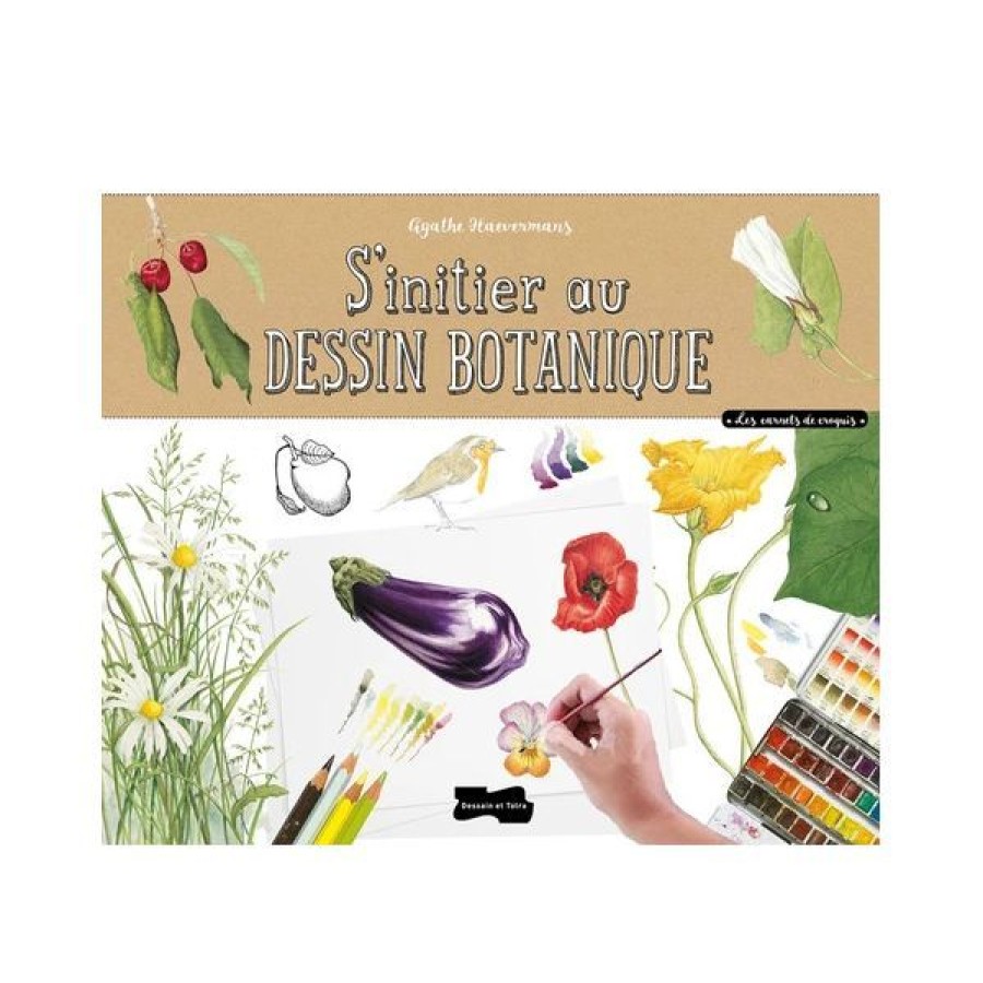 Dessin & Arts Graphiques Creastore Livres Dessin | S'Initier Au Dessin Botanique - Livre