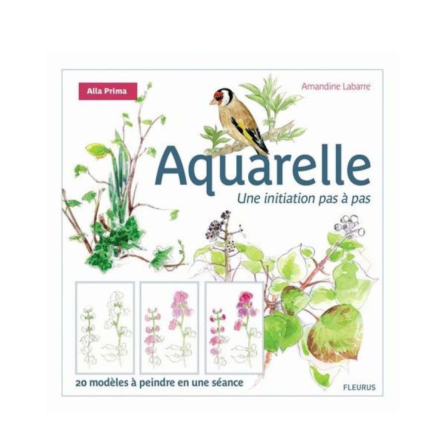 Peintures Creastore Livres Aquarelle | Aquarelle Une Initiation Pas A Pas - Livre