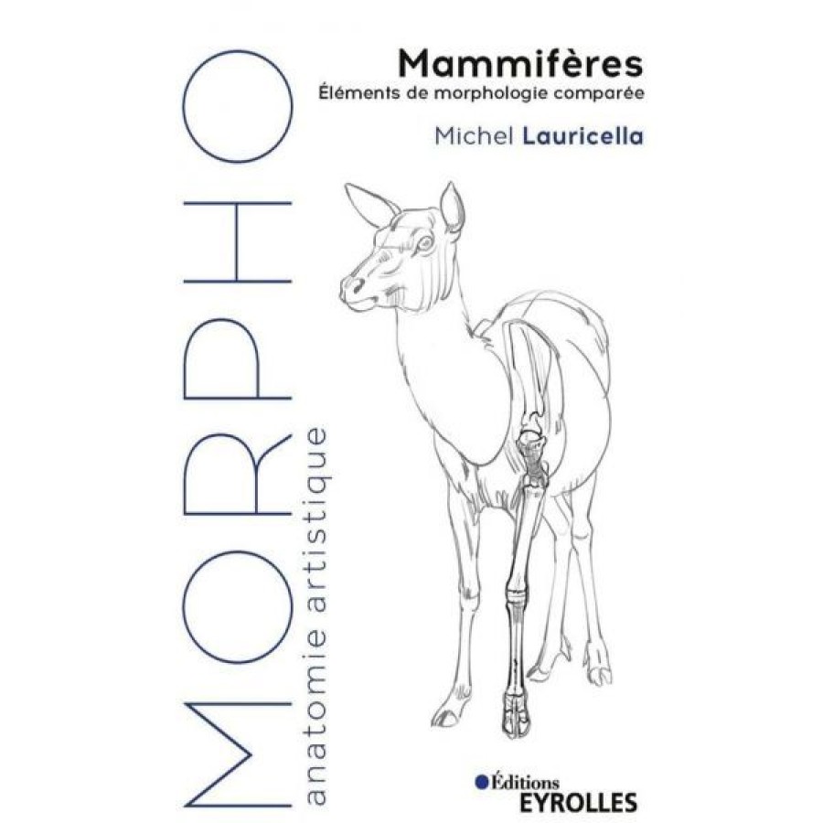 Dessin & Arts Graphiques Creastore Livres Dessin | Morpho - Mammiferes - Livre