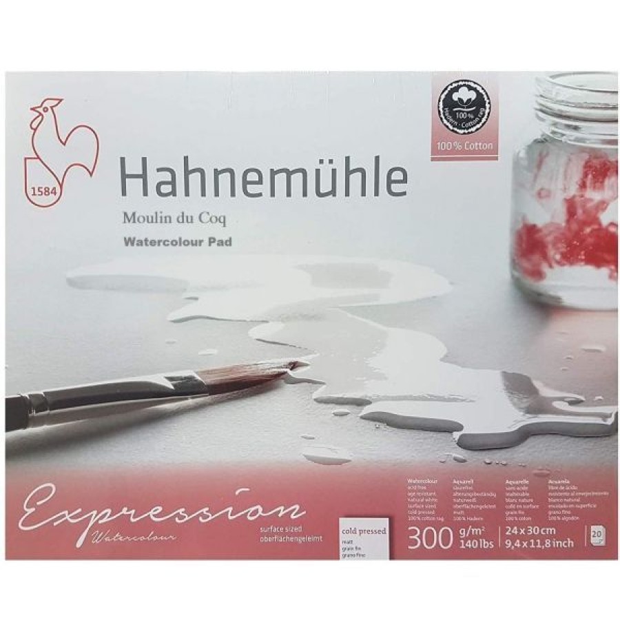 Papiers Creastore Papiers Peinture Aquarelle | Bloc Aquarelle Expression - 100% Coton - Grain Fin - Hahnemuhle